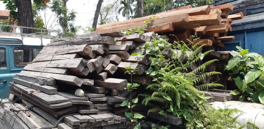 महोत्तरीमा लाखौं रुपैयाँको काठ  र सवारी वषौँदेखि कुहिदै