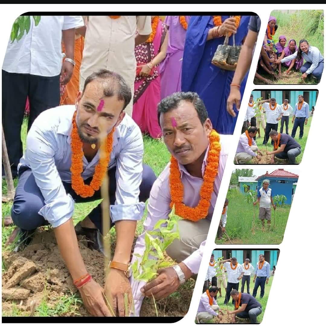 महुली लधुवित्त वित्तीय संस्थाले वृक्षा रोपन गरेर मनाए नबौ वार्षिक उत्सव