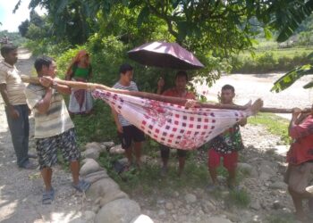 घरेलु एम्बुलेन्स मार्फत बिरामीको उपचार