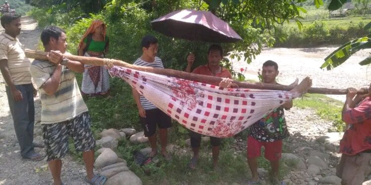 घरेलु एम्बुलेन्स मार्फत बिरामीको उपचार