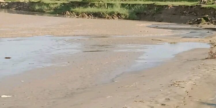 वर्षेनी बलान नदीले धार परिवर्तन सँगै बस्ती जोखिममा