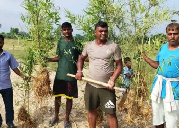 उब्जाउ हुने खेति योग्य जमिनहरु बाढीको कटानबाट बाचउन महतोको मुख्य भुमिका