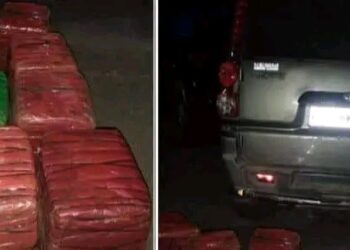 रौतहटबाट सशस्त्र प्रहरीद्वारा २ क्विन्टल गाँजा बरामद