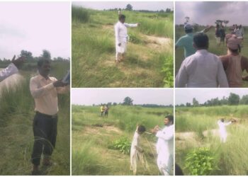 GEखवर स्थलगत रिपोर्टिङकाे प्रभाव सम्सी ३ लक्ष्मिनिया वैरगियामा