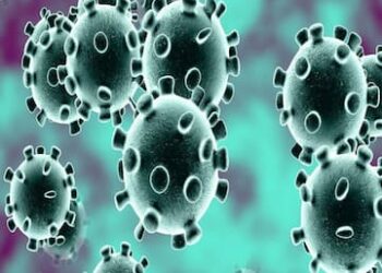 एकैदिन थपिए २०६ जना कोरोना संक्रमित