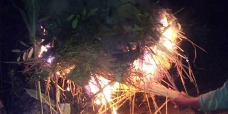 जुम्लामा साउने संक्रान्ति राँको बालेर लुतो फालियो