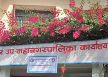 भरतपुर नमुना सहर बन्ने दिशामा