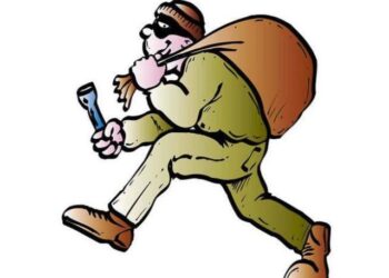 साेनमा गाउँपालिकामा चाेरीकाे घटनामा वढाेत्तरी,सम्वन्धित निकाय माैन