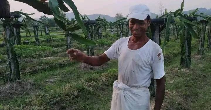 ड्राइगन खेतीबाट आत्मनिर्भर बन्दै हमाल