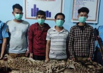 कैलालीमा चितुवाको छालासहित चार जना पक्राउ