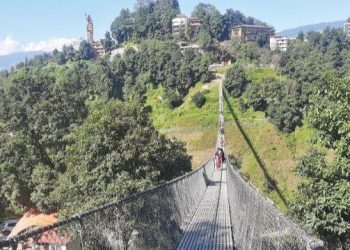 झोलुङ्गे पुल तर्न २० रुपियाँ