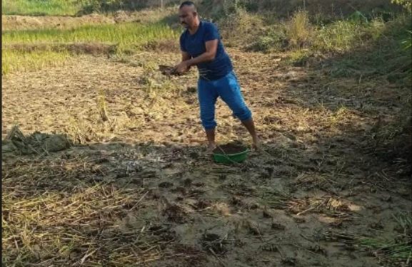 कृषि देखी राजनीतिसम्म भण्डारी