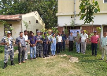 पृथ्वीको तापक्रम नियुनी कारण गर्न जेसिज द्वारा बृक्षारोपन