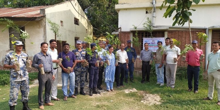 पृथ्वीको तापक्रम नियुनी कारण गर्न जेसिज द्वारा बृक्षारोपन