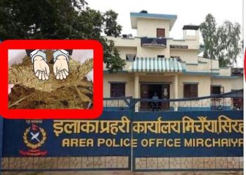 सिरहाको कर्जन्हामा गाँजा सहित राउत पक्राउ