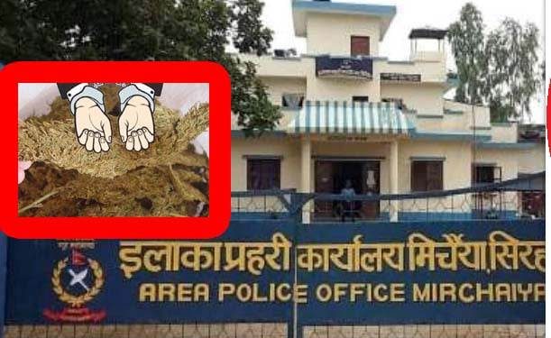 सिरहाको कर्जन्हामा गाँजा सहित राउत पक्राउ