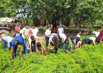समृद्धि र स्वच्छताको संकल्प: लहानमा वृक्षारोपण तथा सरसफाई कार्यक्रम”