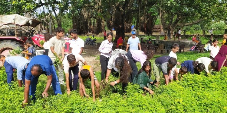 समृद्धि र स्वच्छताको संकल्प: लहानमा वृक्षारोपण तथा सरसफाई कार्यक्रम”