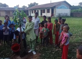 आयुष यादवको १२ औं जन्मदिन विशेष: विद्यालयमा वृक्षारोपण गर्दै वातावरणीय चेतना”