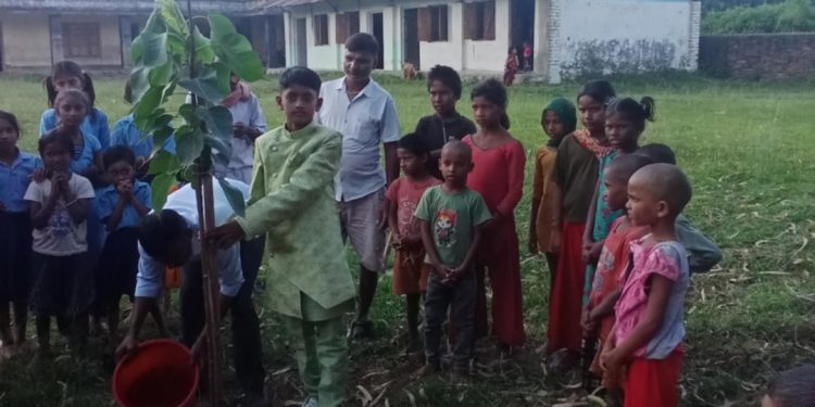 आयुष यादवको १२ औं जन्मदिन विशेष: विद्यालयमा वृक्षारोपण गर्दै वातावरणीय चेतना”