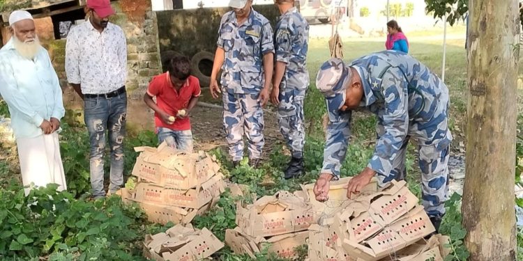 सशस्त्र प्रहरी कृष्णनगर द्वारा तीन हजार अबैध चल्ला नष्ट