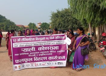 सिरहामा ३३ औं लैङ्गिक हिंसा विरुद्धको १६ दिने अभियान विभिन्न कार्यक्रम गरि मनाइयो