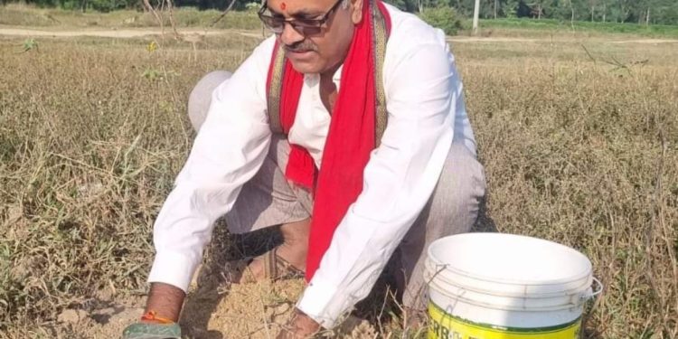 वरिष्ठ समाजसेवी राकेश झाको जन्मदिन: वृक्षारोपण र वृद्धवृद्धामा मिठाई वितरण”