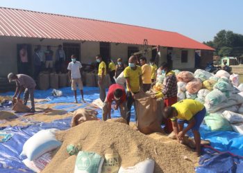 पहिलो पटक सरकारी मूल्यमा धान खरिद, किसानमा खुशी