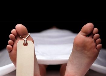 झापामा जंगली हात्तीको आक्रमणबाट एकजनाको मृत्यु