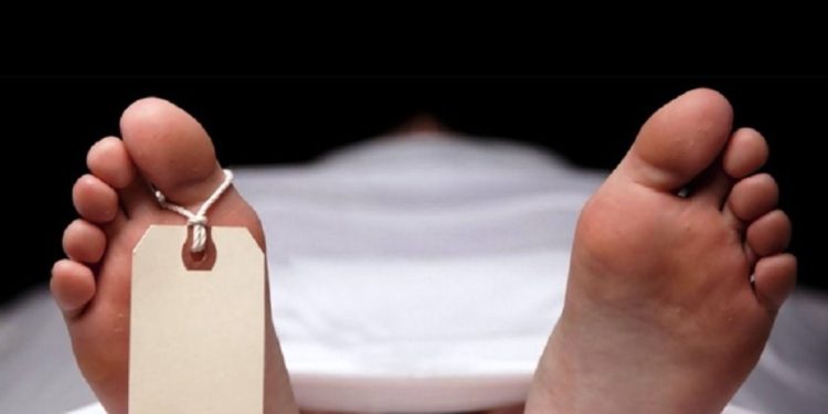 झापामा जंगली हात्तीको आक्रमणबाट एकजनाको मृत्यु