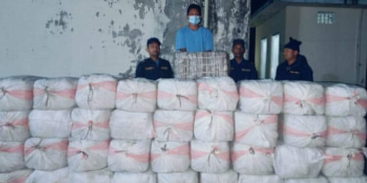 सप्तरीमा १७ क्विन्टल गाँजासहित एक व्यक्ति पक्राउ