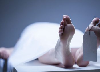 पाकिस्तानमा आक्रमण: २४ घन्टामा २० जनाको मृत्यु