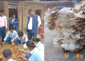 इन्द्रेणी पाठशाला: तीन वर्षमै गुणस्तरीय शिक्षाको आदर्श केन्द्र