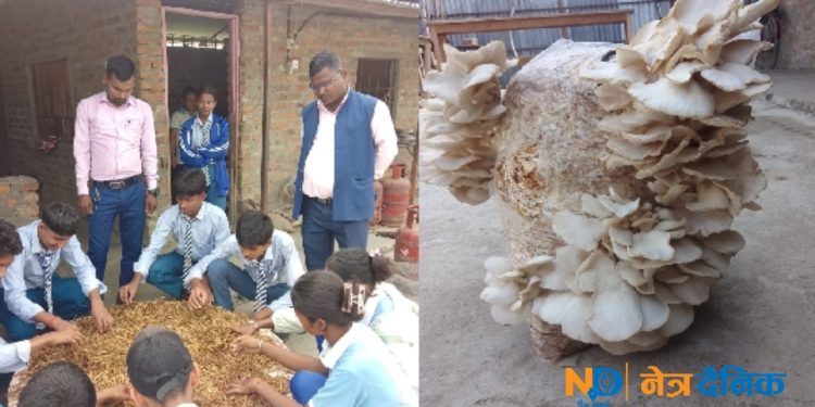 इन्द्रेणी पाठशाला: तीन वर्षमै गुणस्तरीय शिक्षाको आदर्श केन्द्र