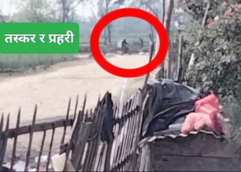 कचनारी नाका : तस्करीमा प्रहरीको मिलोमतो?