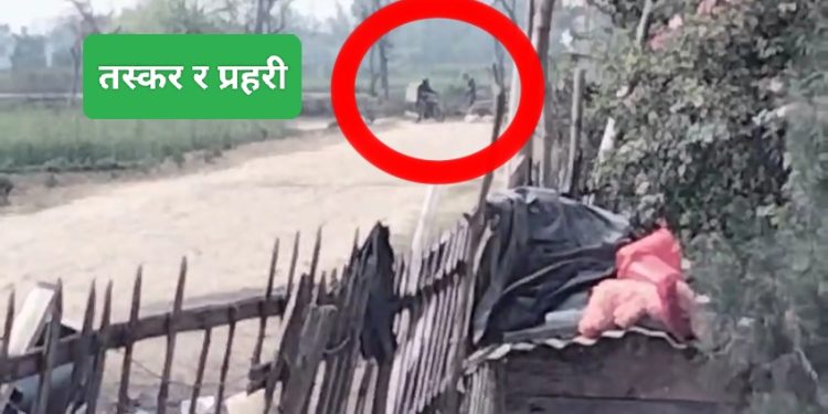 कचनारी नाका : तस्करीमा प्रहरीको मिलोमतो?