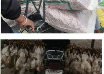 इलाका प्रहरी कार्यालय कृष्णनगर द्वारा २ लाख बराबरको सामान बरामद