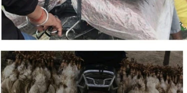 इलाका प्रहरी कार्यालय कृष्णनगर द्वारा २ लाख बराबरको सामान बरामद