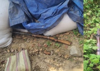 शिकारीको तयारीमा फालिएको बन्दुक : गोलबजार प्रहरीले जङ्गलबाट दुई थान भरुवा बन्दुक बरामद