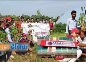 लहानमा विश्व वातावरण दिवसका अवसरमा वृक्षरोपण