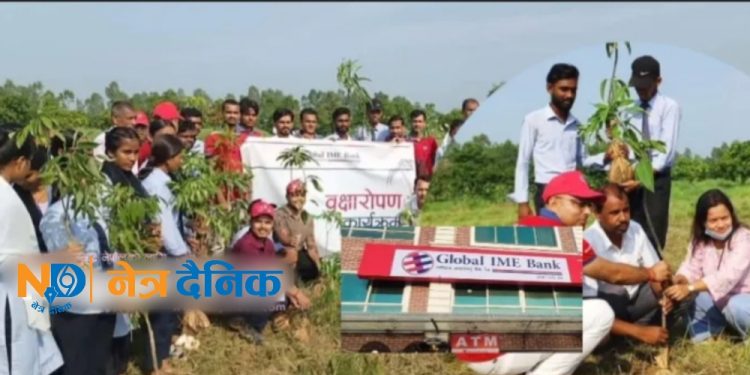 लहानमा विश्व वातावरण दिवसका अवसरमा वृक्षरोपण