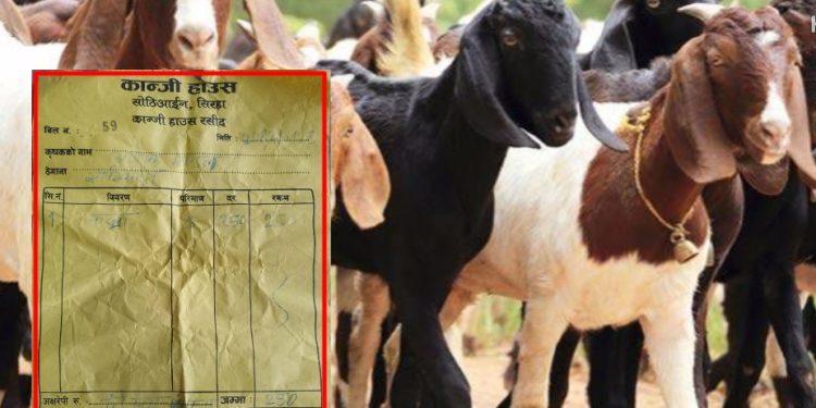 बाली नोक्सानको नाममा बाख्रा थुनेर वर्षौँदेखि पैसा असुल्दै, ननु यादवको घरमै अवैध कान्जी हाउस