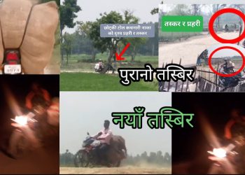 कचनारी प्रहरी र बीओपीको संरक्षणमा तस्करी निर्बाध, समाचार आएपछि पनि मौन सरोकारवाला निकाय