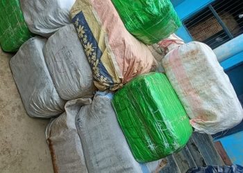 सिराहामा भारत तस्करीका लागि तयारी अवस्थामा राखिएको ७१६ किलो गाँजा बरामद
