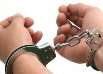 १० लाख बढी नगदसहित भारतीय नागरिक लहानबाट पक्राउ