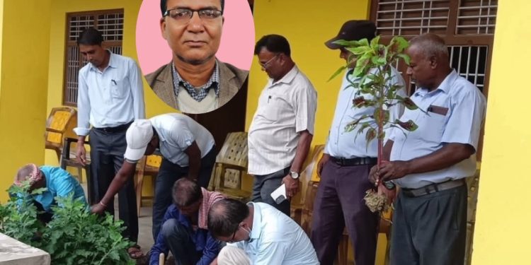 विद्यालय सौन्दर्यीकरणमा प्रधानाध्यापकको पहल