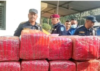 बरिस्ठ सई शयामबाबु यादवको नितृत्वमा १७६ किलो लागूऔषध गाँजा सहित एकजना पक्राउ 