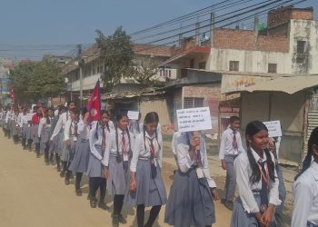 नारा र प्लेकार्डसहित लहानमा लोकतन्त्रको महत्वबारे जागरण
