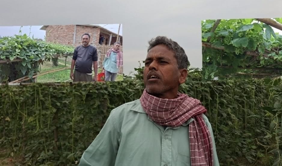 वास्तविक किसान ओझेलमा, अनुदान ‘झोले’ का हातमा