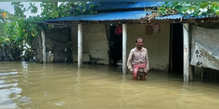कोसीको पानी बस्तीमा पस्दा सप्तरीमा १७ परिवार प्रभावित, चार सुत्केरीसहित बाँधमा सारिए
